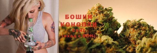 PSILOCYBIN Алексеевка